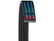 Dayco Multi Rib Belt - Main Drive 5060660