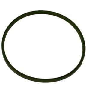 Nissan Packing Fuel Guage O-Ring 17342-7Y000
