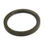 GM Crankshaft Rear Oil Seal 10088158