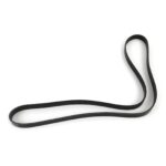 Dayco Multi Rib Belt – Main Drive 5060660