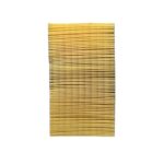 FleetGuard Air Filter AF25423