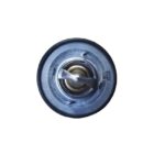 Cummins 190 Degree Thermostat 5292744
