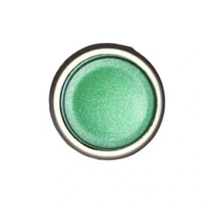 VanHool Push Button Green Bay Door 11105772