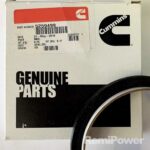 Cummins Crankshaft Oil Seal 5259499