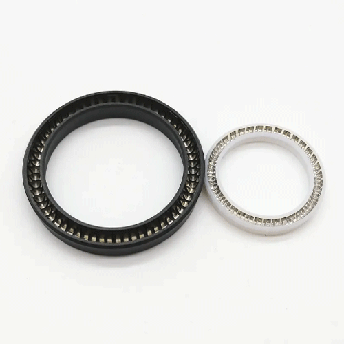 Rotary Shaft Seal C455