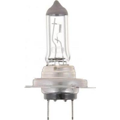 Philips Halogen Headlight Bulb H7C1